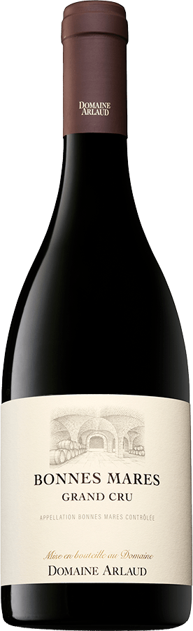 Domaine Arlaud, Morey-saint-Denis in the heart of Burgundy