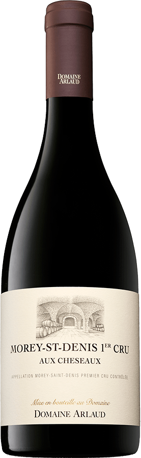 Domaine Arlaud, Morey-saint-Denis in the heart of Burgundy