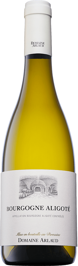 Bottle - Bourgogne Aligoté