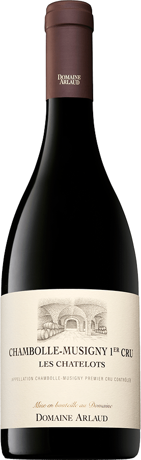 Bottle - Chambolle-Musigny 1er Cru « Les Chatelots »