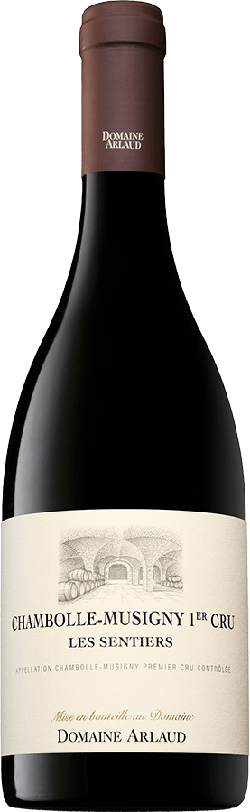 Bottle - Chambolle-Musigny 1er Cru « Les Sentiers »
